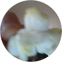 Nathan Rodgers profile picture